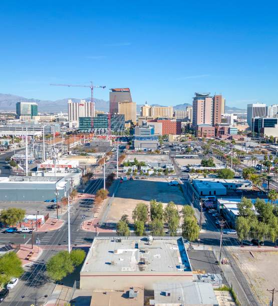 Rare DTLV Warehouse — photo 5